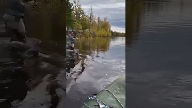 Рыбалка в Магадане смотреть онлайн