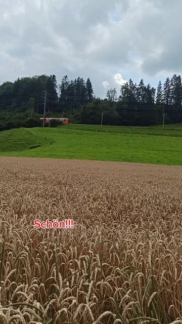 04.08.24г🌹Супер, класс!!!😊 смотреть онлайн