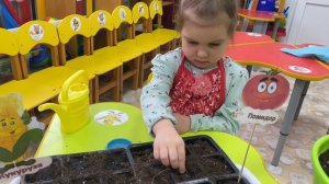 Огород на подоконнике. 2-я младшая группа.