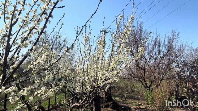 А счастье было так возможно. 2 часть ❤️Очень интересн? смотреть онлайн