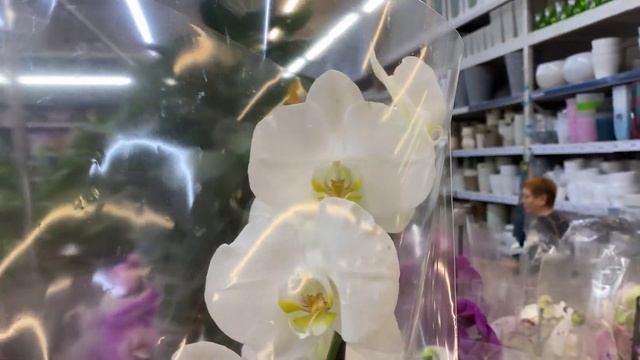 ОБЗОР ПОСТАВКИ ЛЕРУА МЕРЛЕН (Лемана Про) СУПЕР ЗАВОЗ К? смотреть онлайн