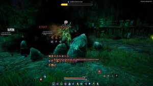 Black Desert Бамбуковый генерал VI