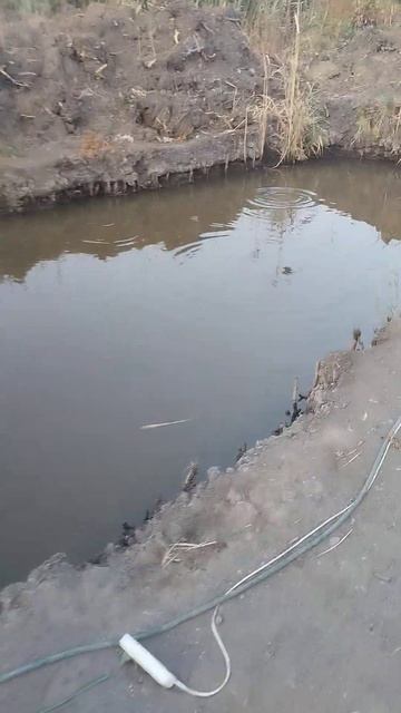 2 водоёма рядом,а разница очень большая смотреть онлайн