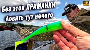 Без этой приманки ловить тут нечего. Рыбалка с Panoptix LiveScope