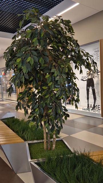 Клумба в торговом центре Mol Каунас.#shorts #york#клумба_в_тор