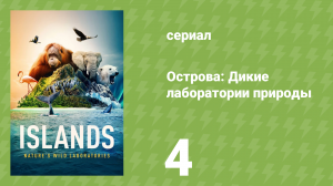 Острова: Дикие лаборатории природы 4 серия «Борнео» (документальный сериал, 2023)