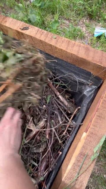 Грядка СВОИМИ РУКАМИ! #рассада смотреть онлайн