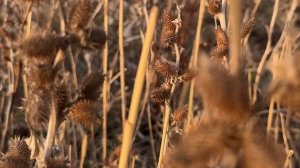 Проводка на судака яка працює краще ??? Ловля судака на