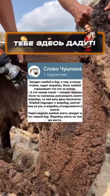 Бар 🤣 #смешныешорты #анекдоты #шутки #анекдот #шортики смотреть онлайн