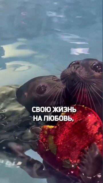 одиноки или проблемы в отношениях? розовый кварц, жаде