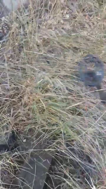 2 Метра Рельса👍 смотреть онлайн