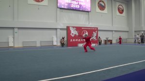 Международный турнир "Московские звезды ушу 2025"