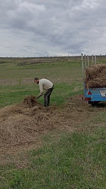 Минитрактор, он же Мотоблок, прицеп для сена и не тольк смотреть онлайн