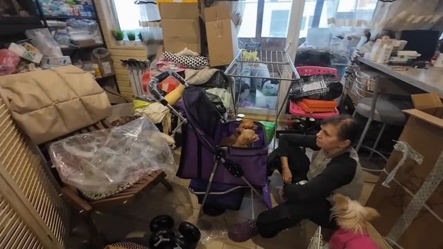 Доброе утро 3 декабря смотреть онлайн