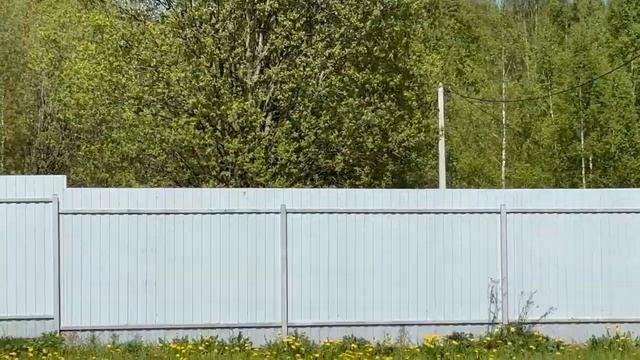 Дрозды смотреть онлайн