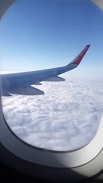 Лёгкого взлета, шикарного полета и мягкой посадки ✌️ смотреть онлайн