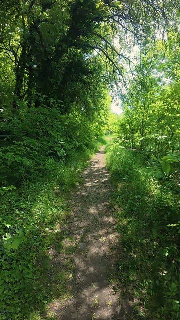 ровное озеро смотреть онлайн