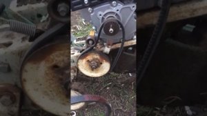 Культиватор КРОТ. Приводной ремень Excellent ax 750.