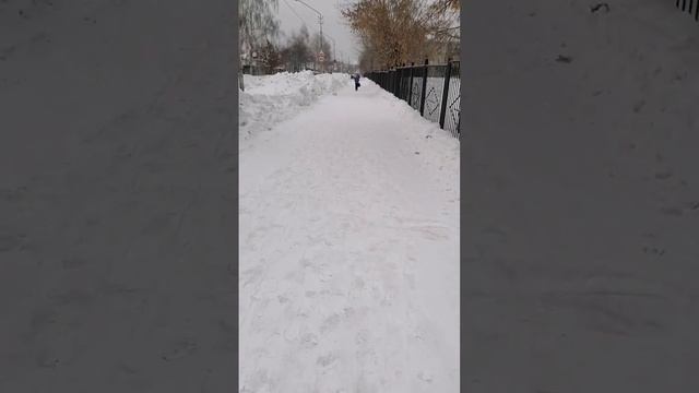 VLOG: ИДУ В МАГАЗИН ЗА ПРОДУКТАМИ!)