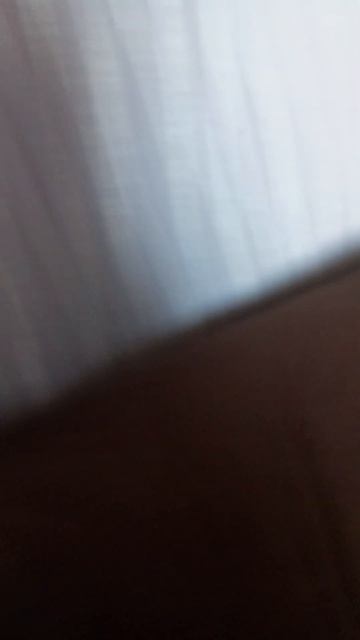 скажи хочу есть как: #animation #юмор #meme #мем #прикол #анимац смотреть онлайн