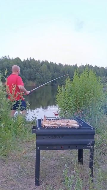 полный релакс 🎣🌲 #шашлык #рыбалка #мангал #ПечиПегас смотреть онлайн