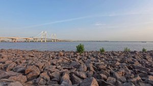 Большая прогулка по Василеостровскому району. Июнь 2025.