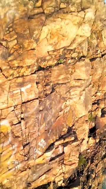 Владивосток сопка Бурачека 14.06.2015 туман наступает смотреть онлайн