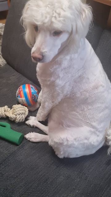 кактус,добрый друг верный друг. смотреть онлайн