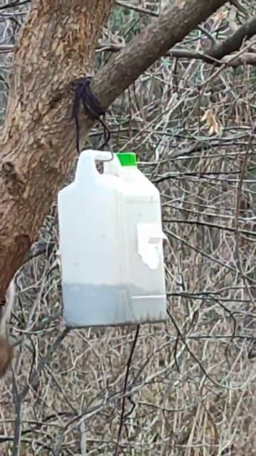 15 ноября 2023 г. смотреть онлайн