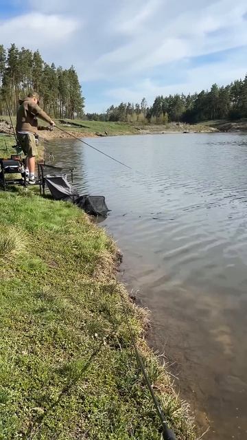 #fishing #короповаловля #carpfishing #methodfeeder #рыбалка #kvasvitalii #carp смотреть онлайн