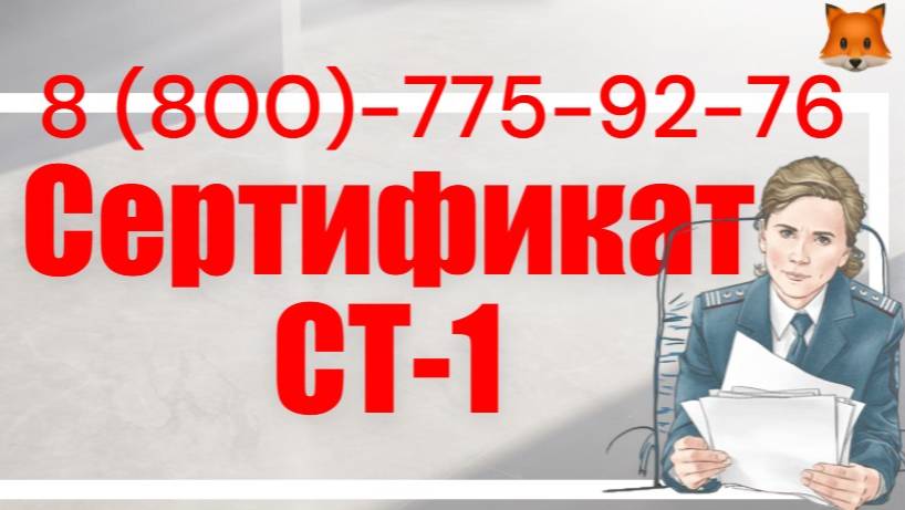 Оформим сертификат СТ 1 или декларацию смотреть онлайн