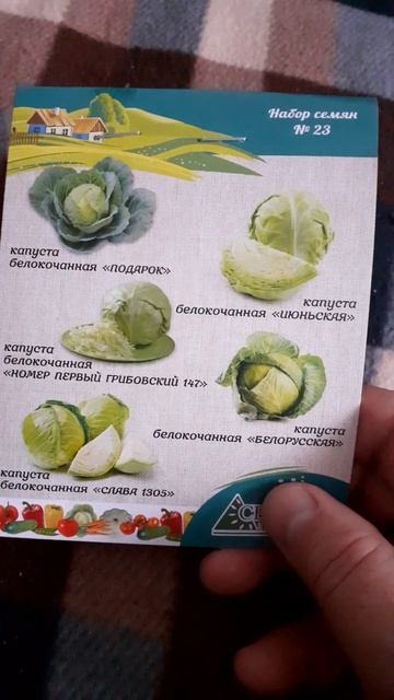 Семена капусты белокочанной купленные сегодня Двадца смотреть онлайн