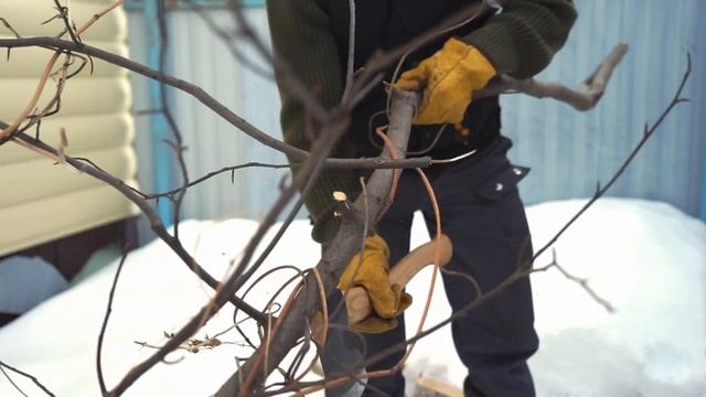 ТОПОР ДЛЯ ДОМА. Обзор топора Петрович от УРМ Аника смотреть онлайн