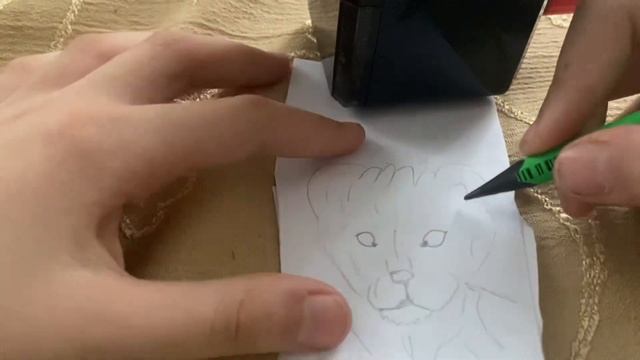 Рисую маму Симбы  /(извиняюсь что камера некоторых мом?