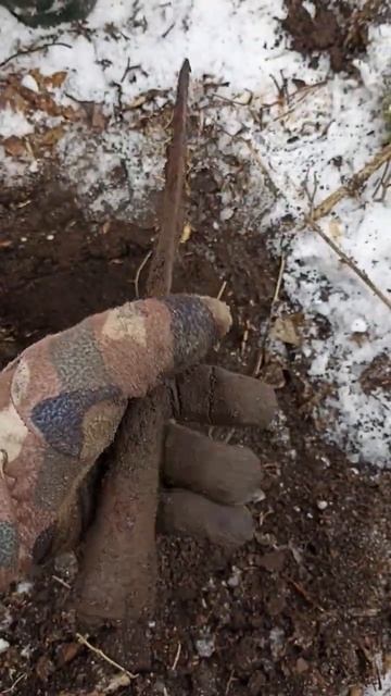 #металлоискатель #metaldetecting #поискмонет #шурф #старина #н смотреть онлайн