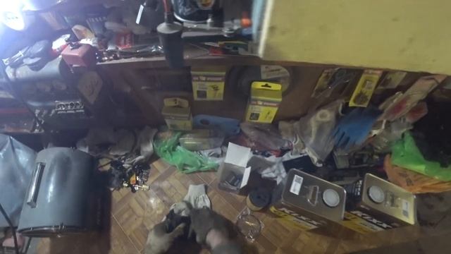 Замена масла и масляного фильтра на BMW E63