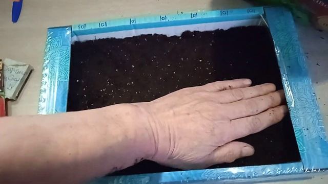 12.2.25г.  Сею на Рассаду Сладкий ПЕРЕЦ сорта ДАРТАНЬЯН дл