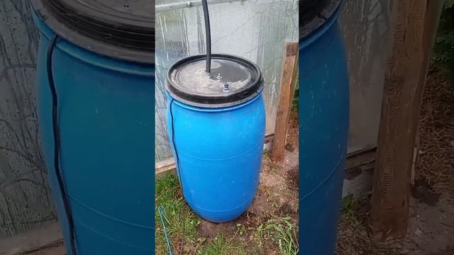 Как организовать туман в теплице своими руками. смотреть онлайн