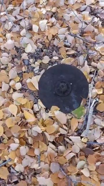 коп металла с мд 4030 смотреть онлайн