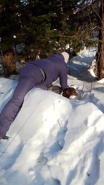 низкая посадка смотреть онлайн