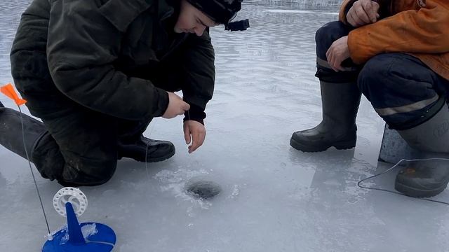 ПЕРВЫЙ ЛЁД, А ЛЬДА НЕТ! / РЫБАЛКА НА ЖЕРЛИЦЫ / ПОИСКИ ОКУ