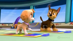 Тяф Тяф Буги