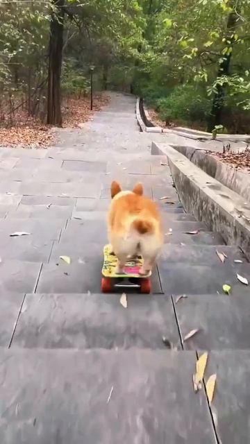 Это я иду по карьерной лестнице смотреть онлайн