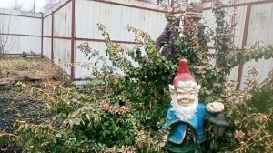 БЕРЕСКЛЕТ. ОБРЕЗКА.