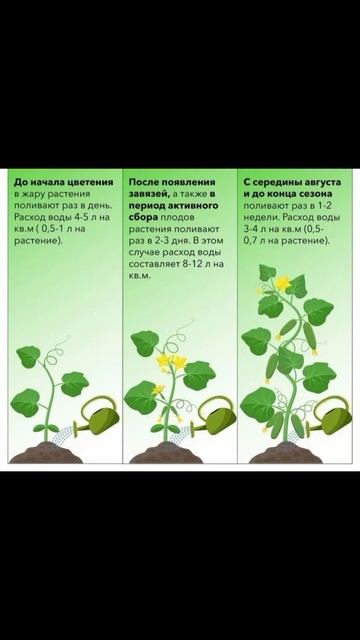 Советы огородникам,подкормки. смотреть онлайн