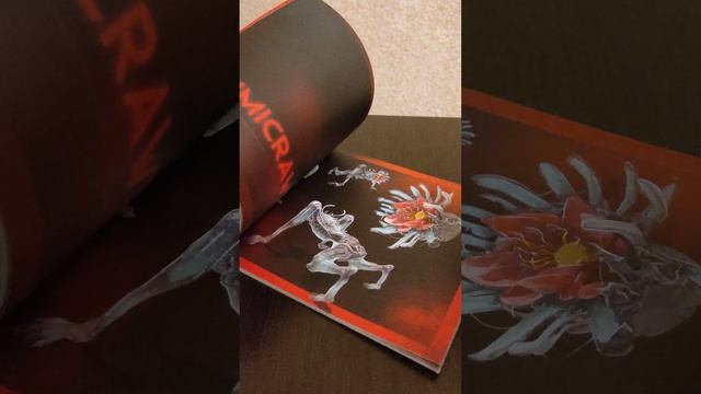 The Chant Limited Edition Ps5 - Распаковка/Unboxing