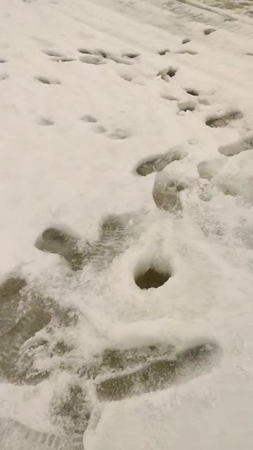 Шуруповёрт для рыбалки "Зубр" Шнек NERO 130мм , пробуем све смотреть онлайн