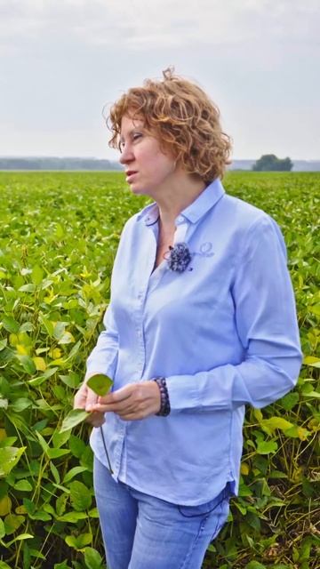 Соя от Прогрейн. Как компания работает в России? #сельс смотреть онлайн