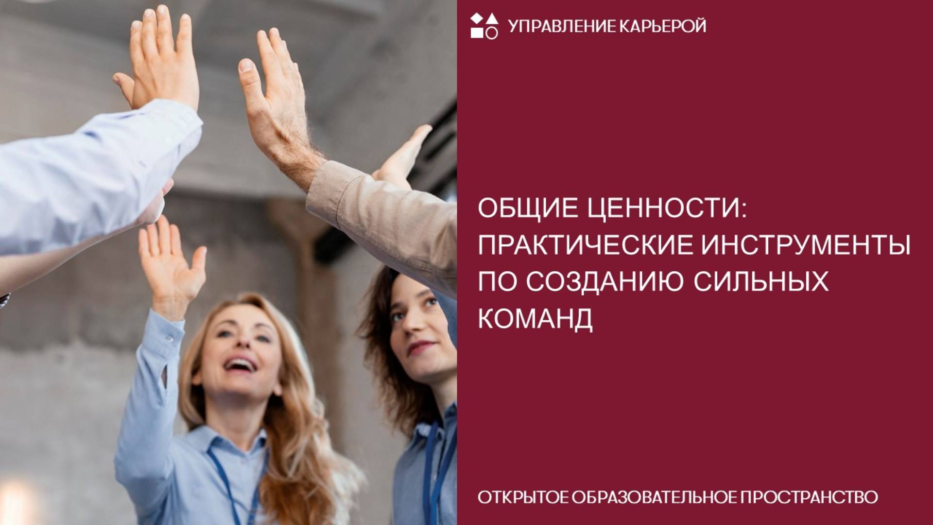 Общие ценности: практические инструменты по созданию сильных команд смотреть онлайн