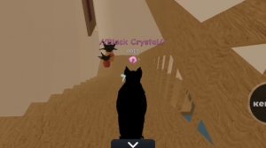 ВТОРОЙ СПОСОБ ВЫЗВАТЬ SMILE CAT 0013!ОЧЕНЬ жуткий NPC в WCUE! Black